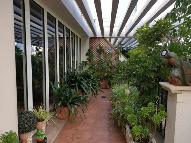 ADOSADO DE LUJO  EN ALBAIDA (VALENCIA) — 37