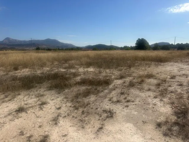 Terreno Rural Agrario de 13.000 m2 en Beties – Monóvar — 8
