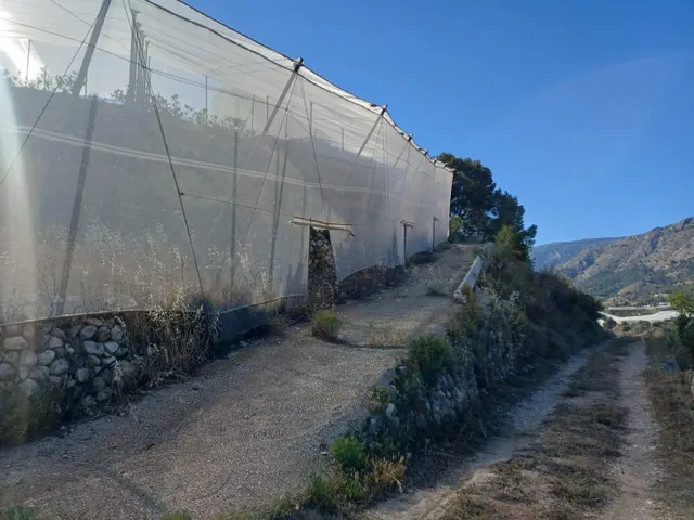 PARCELA DE TERRENO CON CASA CONSTRUIDA Y ARBOLES FRUTALES — 24