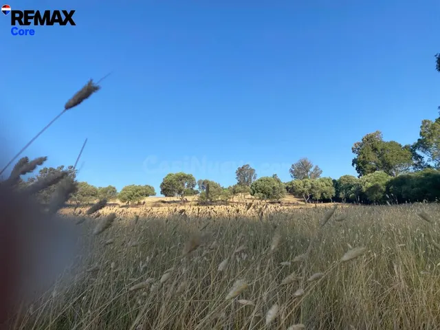 Finca Rústica de 5 Ha con Construcción Registrada – Finca en - foto 3