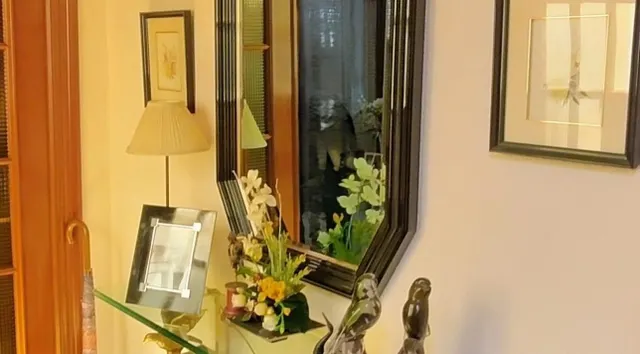 SE VENDE CHALET Y EDIFICIO DE 2 PLANTAS EN PETRER — 46