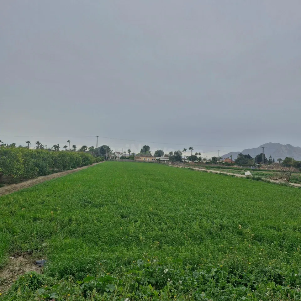 TERRENO 4800 M2