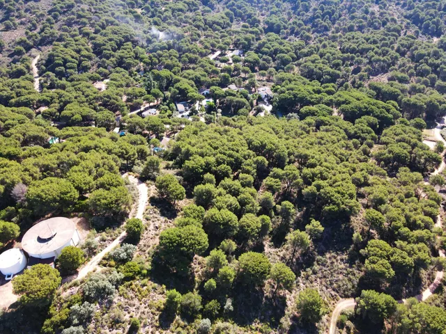¡¡PARCELA URBANA EN LAS JARAS!!! — 10