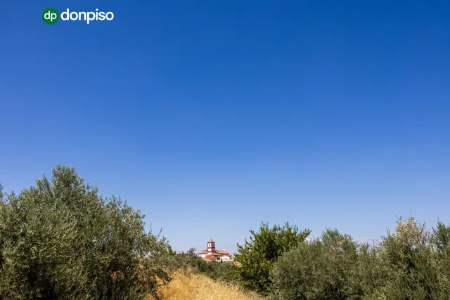Preciosa parcela con vistas a la sierra — 13