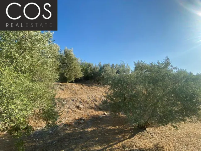 Parcela 40m² en venta - Urbanizacion azahar — 23