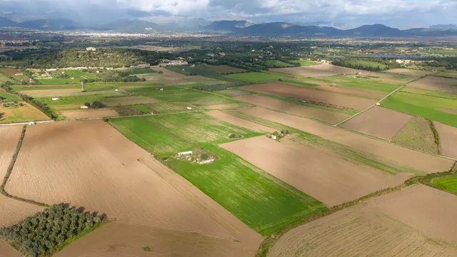 Parcela rústica con proyecto en muro — 5