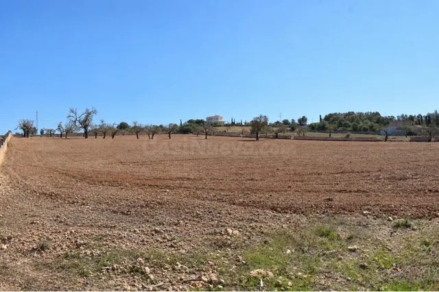 Finca rústica con posibilidad de vivienda en Ariany — 3