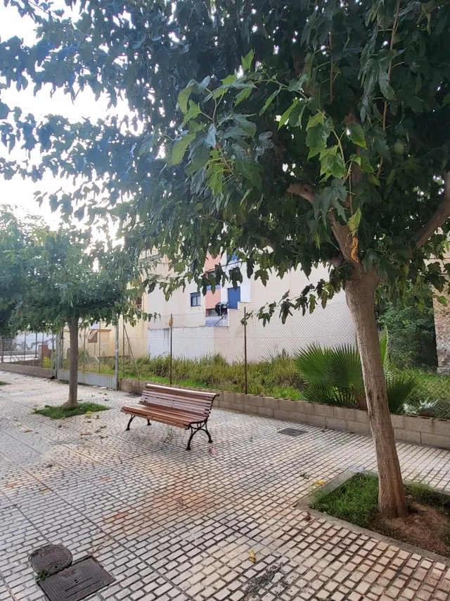 Atención, promotores e inversores ,ocasion unica — 11