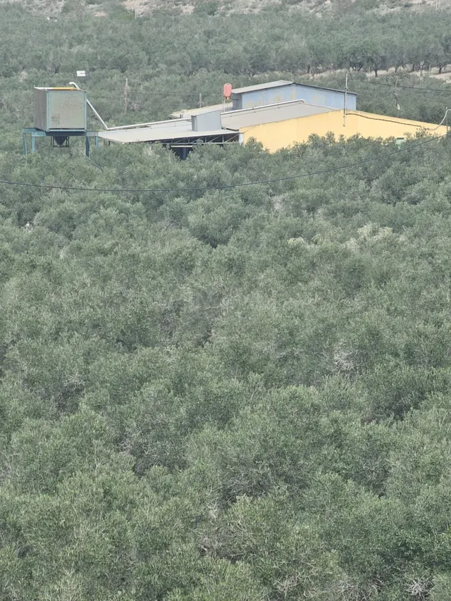 Finca con 26 hectáreas de terreno cultivado, ubicada en Torr - foto 3