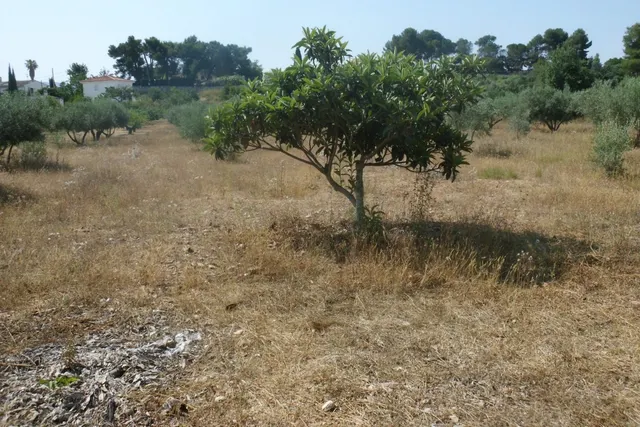 Parcela en Partida La Solana - Ontinyent — 4