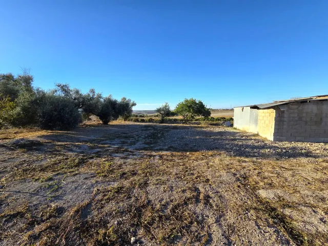 Parcela segregada de 2.235 m/2  en el marquesado con cuarto de aperos y pozo – Chiclana de la Frontera — 18