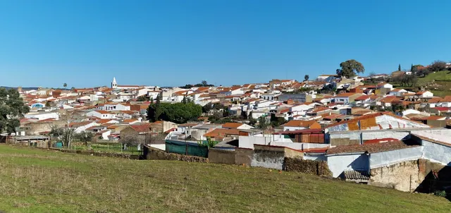 ALQUILER CHALET CON PARCELA EN HIGUERA DE VARGAS — 47