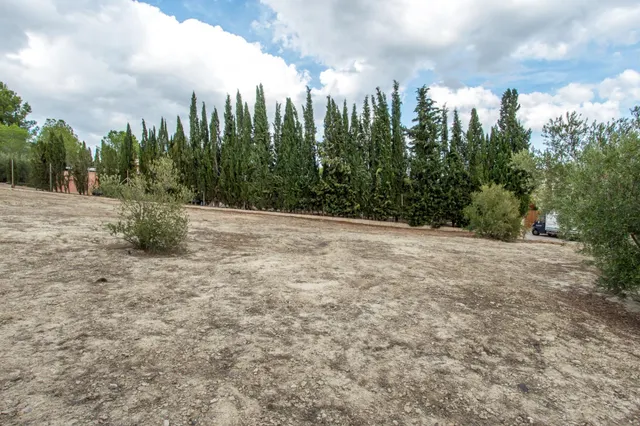 Parcela de casi 1500m2 en el Chorrico — 6