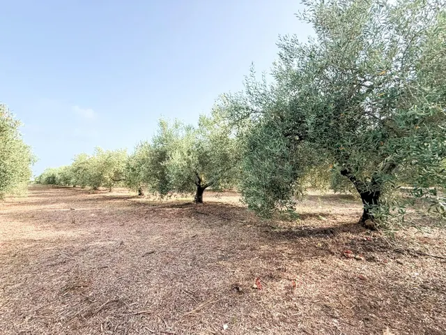 FANTASTICA MASIA CON PISCINA Y AMPLIA PARCELA EN VENTA — 35