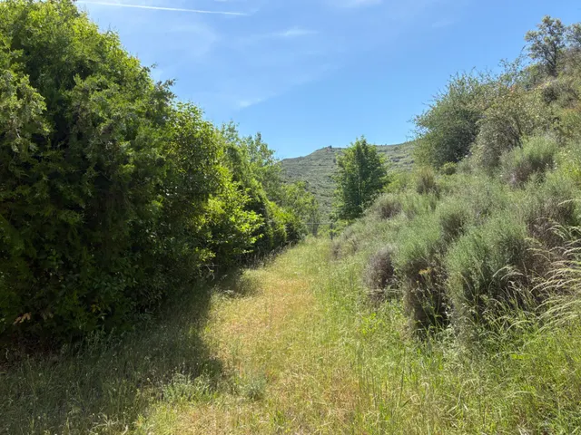 PARCELA URBANA EN VENTA EN UNCASTILLO - 17.700 M2 — 29