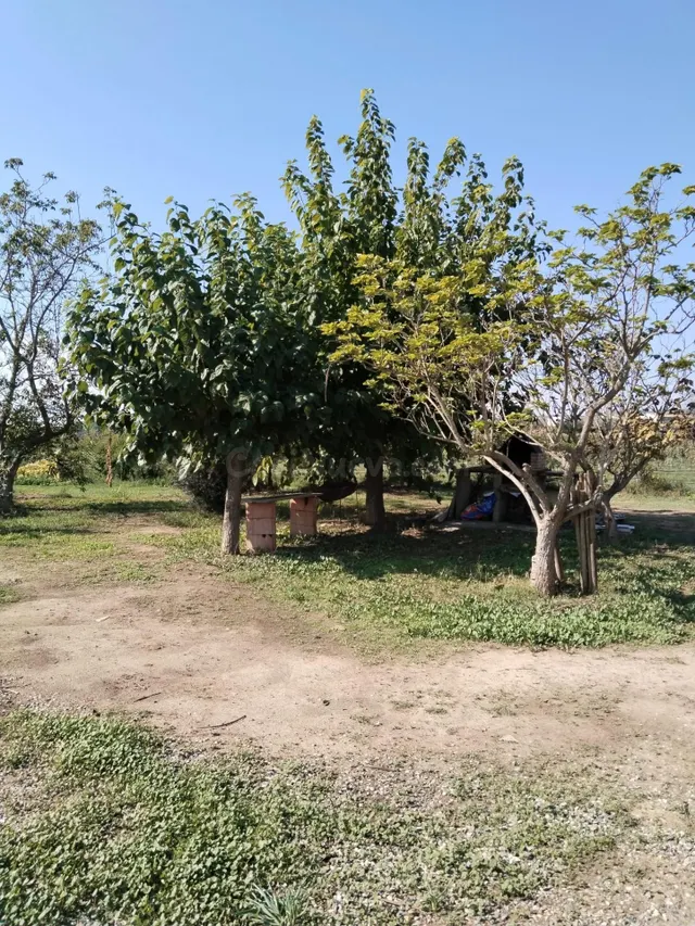 ALQUILER CASA/TORRE CON TERRENO, EN VILANOVA DE SEGRIA LLEID - foto 3