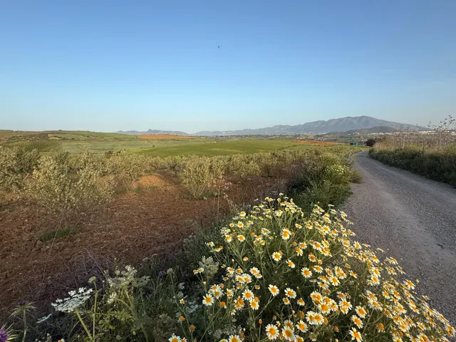 TERRENO RURAL EN VENTA — 10