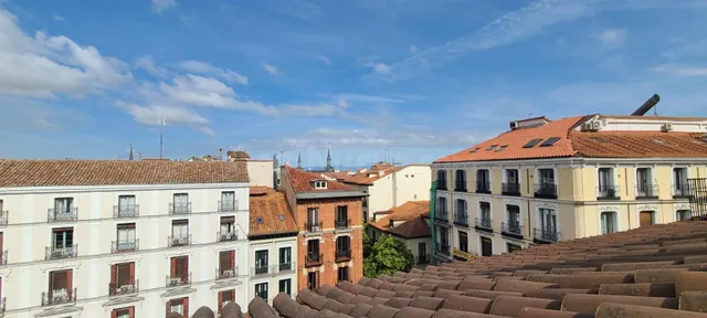 VENTA DE LA NUDA PROPIEDAD EN EL CENTRO DE MADRID — 5