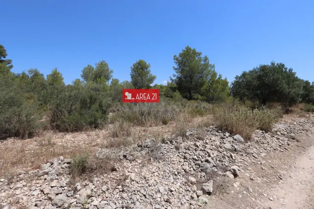 PARCELA AGRARIA CERCANA A LA POBLA DE VALLBONA-CASABLANCA - foto 4