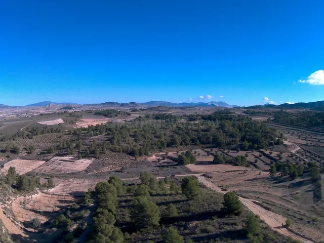 Parcela en venta - Jumilla - foto 5