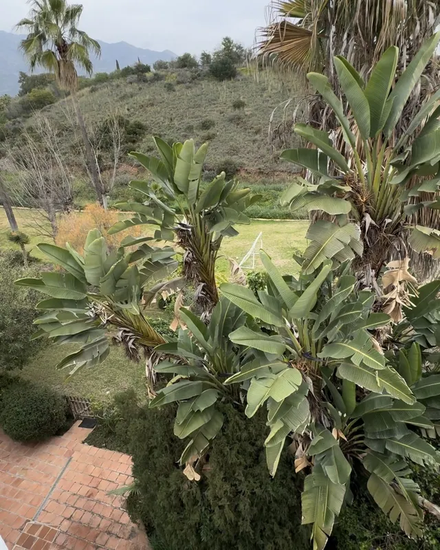 Adosado 5 habitaciones 188m² en venta - Marbella — 39