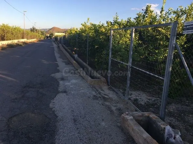 Finca en producción de Limón con potencial futuro urbanistic - foto 4