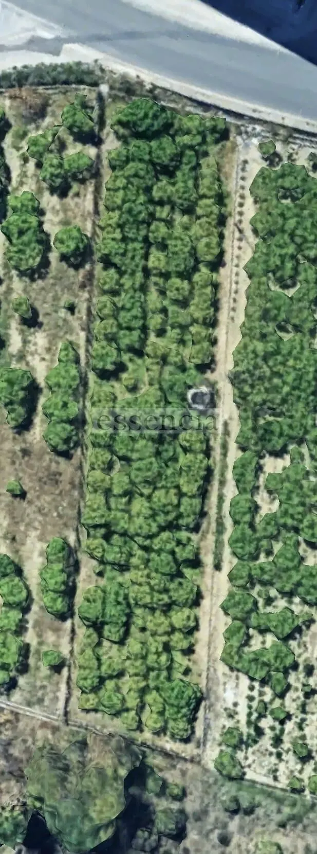 Suelo urbanizable en Beniarjó — 4