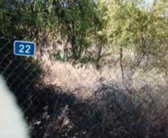 Parcela en venta - EL PINAR