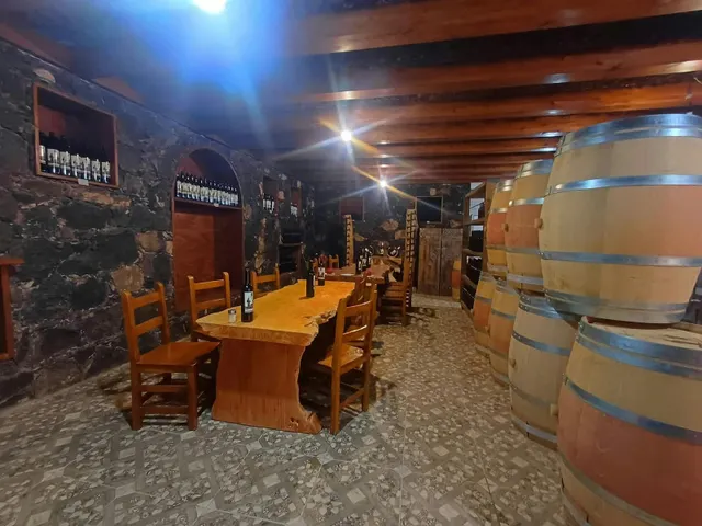 Finca de Lujo con Viñedo, Bodega Subterránea y Vistas Panorámicas al Atlántico — Fuerteventura — 16
