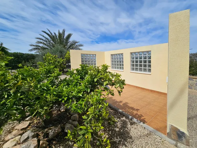 INCREIBLE CASA DE CAMPO EN TORRELLANO BAJO ! — 50