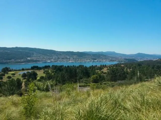 Terreno Domayo Campo De Golf