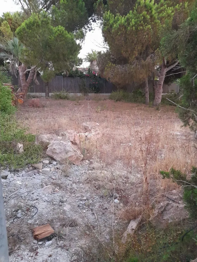 Terreno urbano en venta - Cabo Roig - foto 4