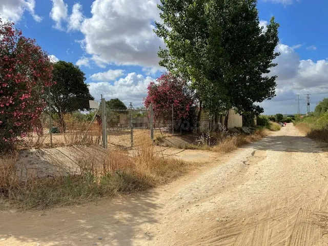 Terreno rural en venta - Andalucia - foto 4