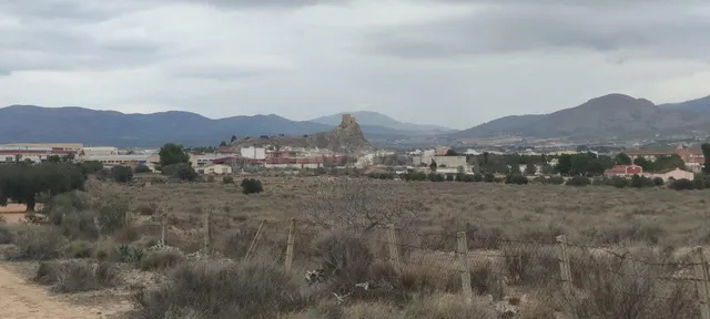 SE VENDEN 5 PARCELAS EN SAX DE 10.000 M2