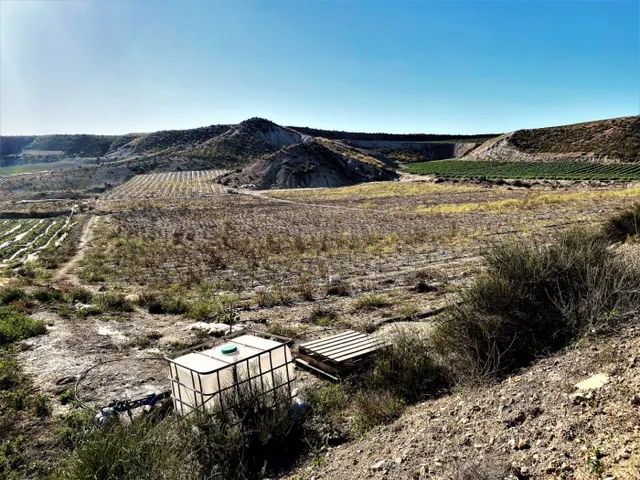 Parcela cultivada en producción — 16