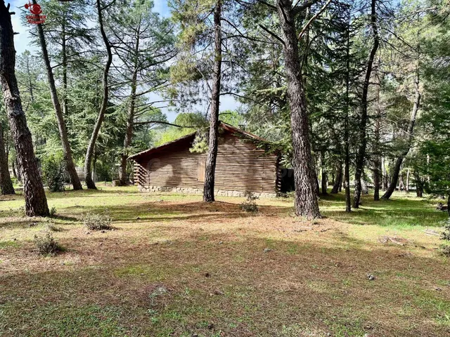 Terreno de 10.117m2 con vivienda de 75m2 rodeado de un precioso bosque — 2