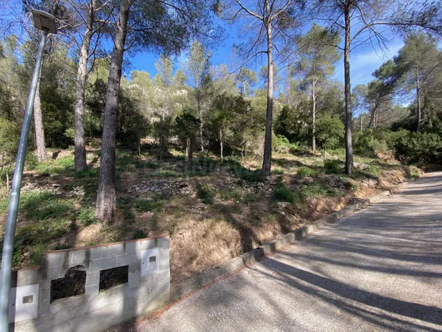 Venta de Terreno en plena naturaleza en Corbera de LLobregat - foto 5