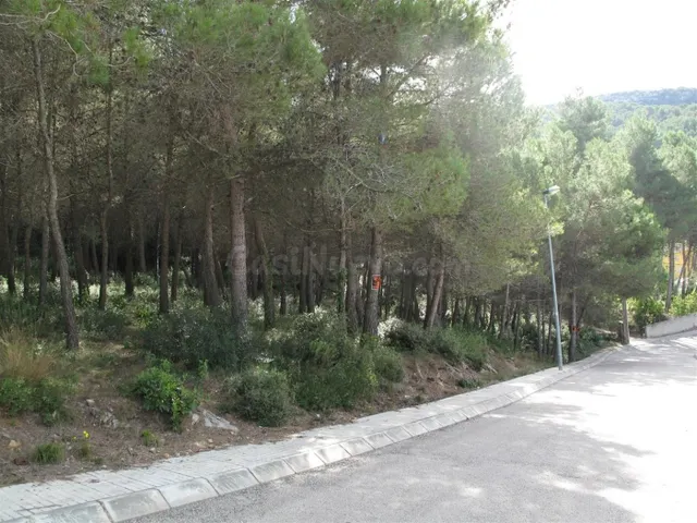 GRAN PARCELA PARA USO RESIDENCIAL