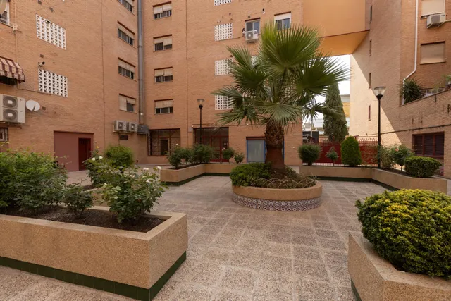 Amplio piso de 4 dormitorios en la prestigiosa urbanización Las Brisas – La Chana — 50