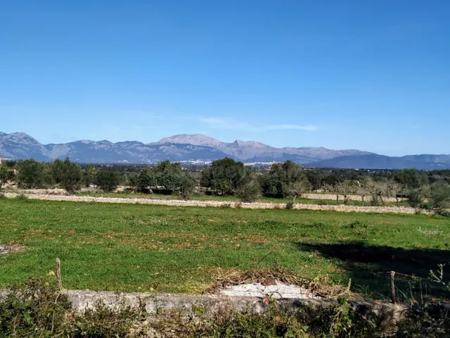 FINCA RÚSTICA PERFECTA PARA CONSTRUIR