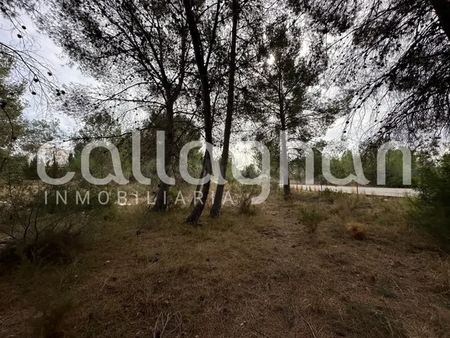 Terreno para construir la casa de tus sueños en Colinas de S - foto 5