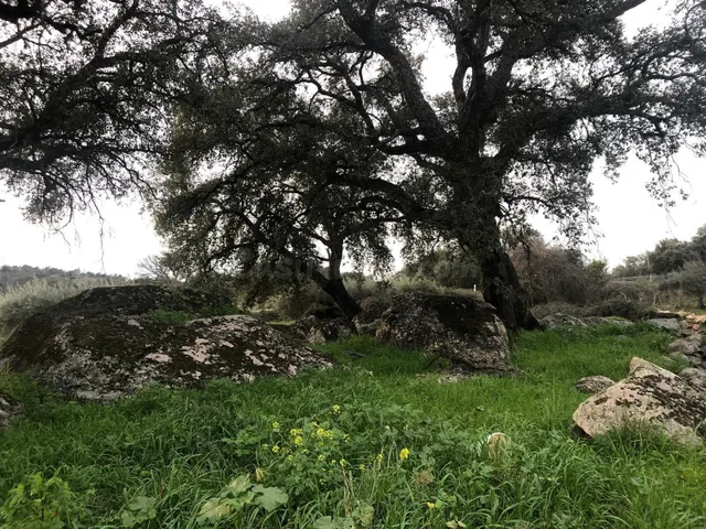 Finca en Montánchez - foto 4