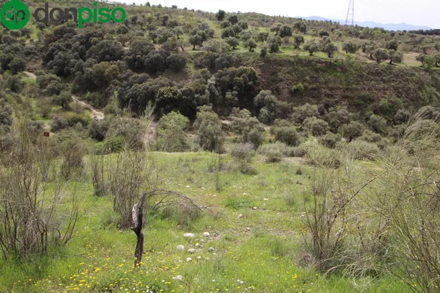 FINCA EN CORTIJO SAN JERÓNIMO (BARTODANO) — 5