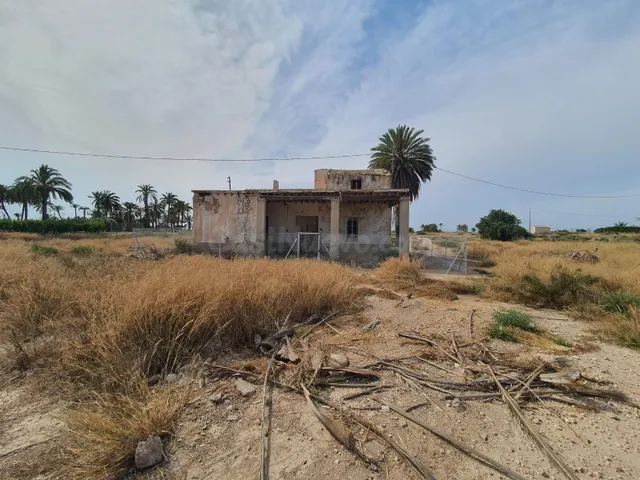 Terreno grande Las Bayas, Elche - foto 2