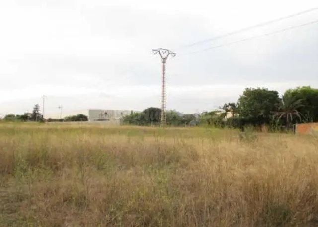 Terreno rural en venta - Ciutat del Transport-La Salera - foto 2