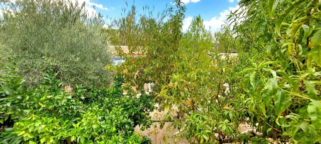 Villa 3 habitaciones 800m² en venta - Rincón de Seca — 37