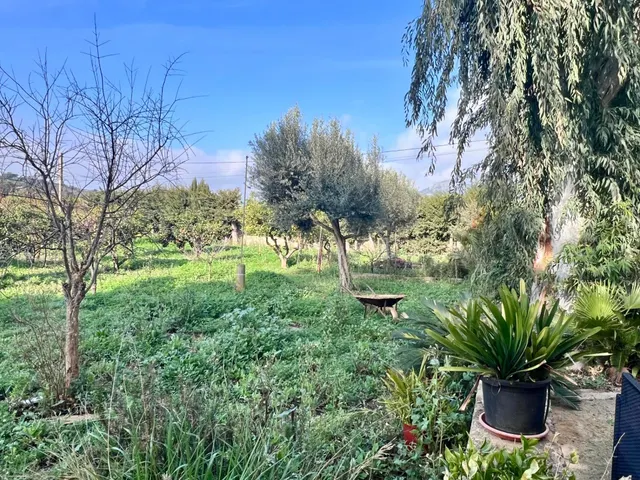 Finca rústica Campanet — 9