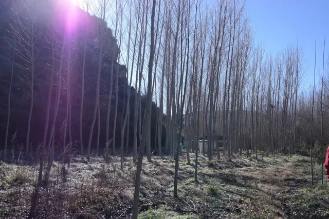 Los Tajos, monumento natural con casa y chiringuito. Finca en Alhama de Granada. — 16