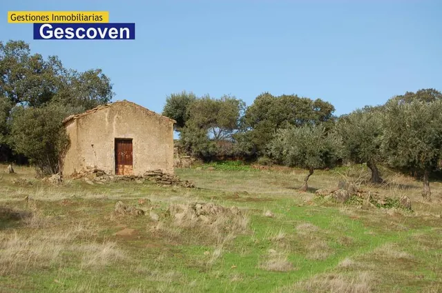 VENTA FINCA OLIVAR — 2