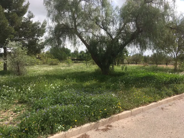 Terreno Urbano en el centro del pueblo de Ubeda — 10
